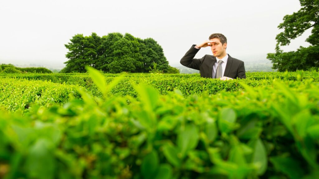 How High Earners Can Get Through the Income Tax Maze