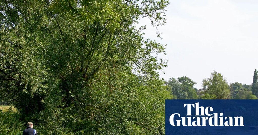 Art trails, swimming spots and punt safaris, all easily accessible from Cambridge’s new train station | Cambridge holidays