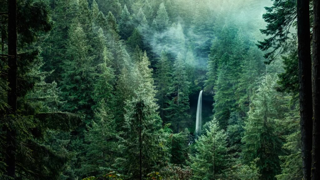Where Was Twilight Filmed? Sinking Our Teeth Into the Real Forks, Washington And Other Filming Locations Where Was Twilight Filmed? Sinking Our Teeth Into the Real Forks, Washington And Other Filming Locations