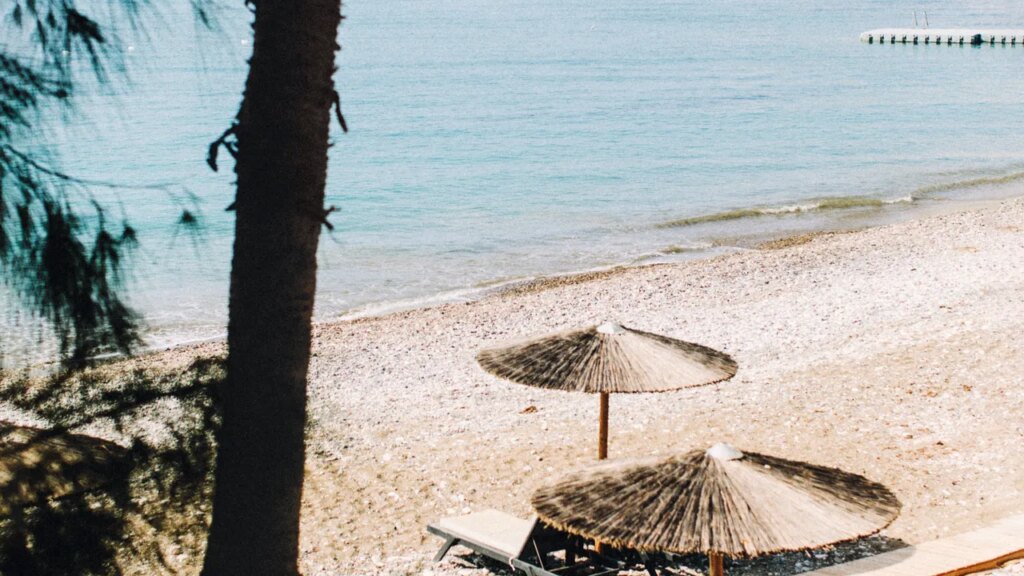 Trip.com Promo Codes: 50% Off June 2026 | Condé Nast Traveler Trip.com Promo Codes: 50% Off June 2026 | Condé Nast Traveler