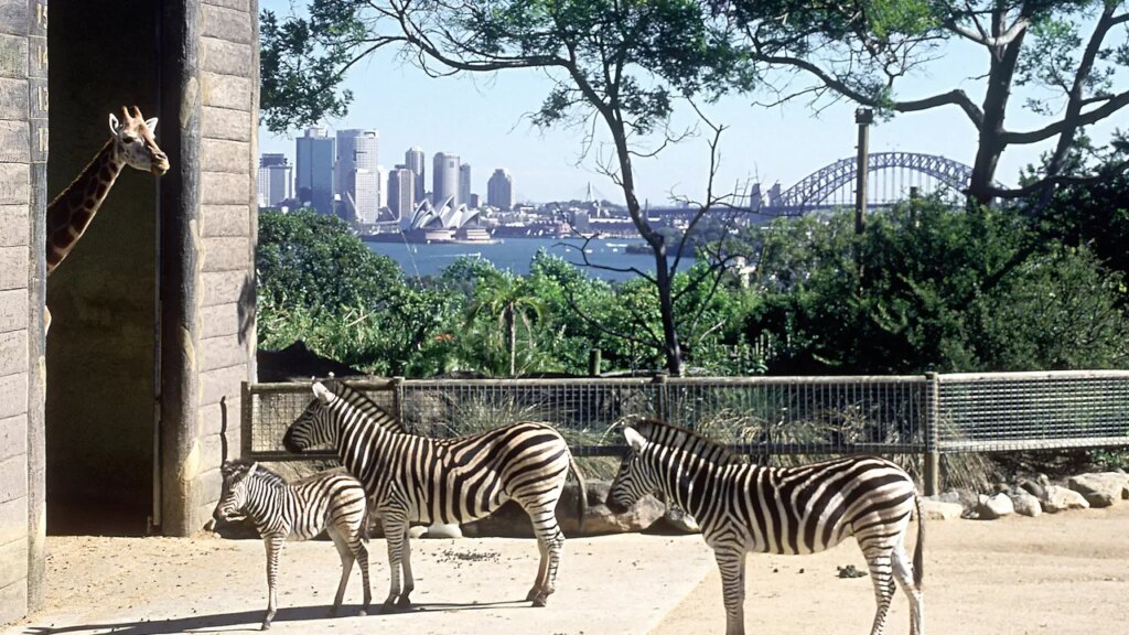 The Best Zoos in the World for Lions and Tigers and Bears, Oh My! The Best Zoos in the World for Lions and Tigers and Bears, Oh My!