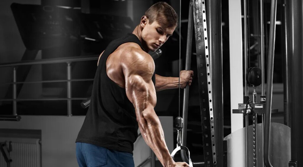 The Triceps Training Guide for Sleeve-Stretching Size and Lockout Strength The Triceps Training Guide for Sleeve-Stretching Size and Lockout Strength