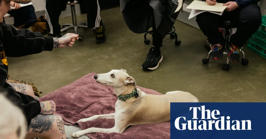 At greyhound life drawing, artists try to tackle complicated shapes | Drawing