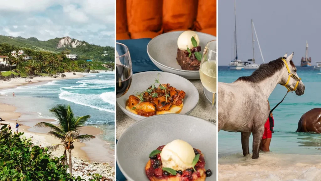 The Best Things to Do in Barbados, and Where to Stay and Eat While You’re There The Best Things to Do in Barbados, and Where to Stay and Eat While You're There