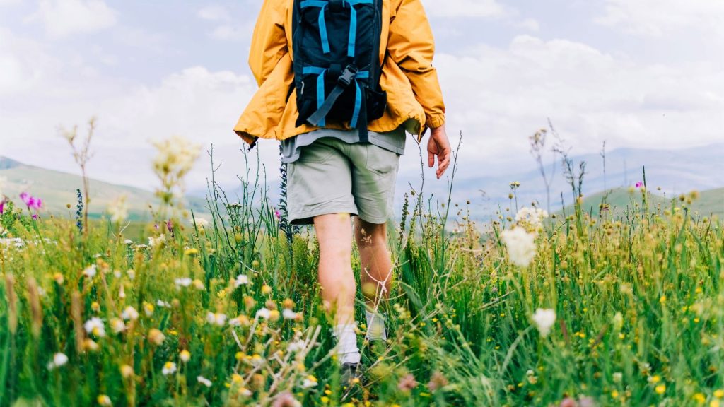Financial Independence vs Retirement: Key Differences Financial Independence vs Retirement: Key Differences